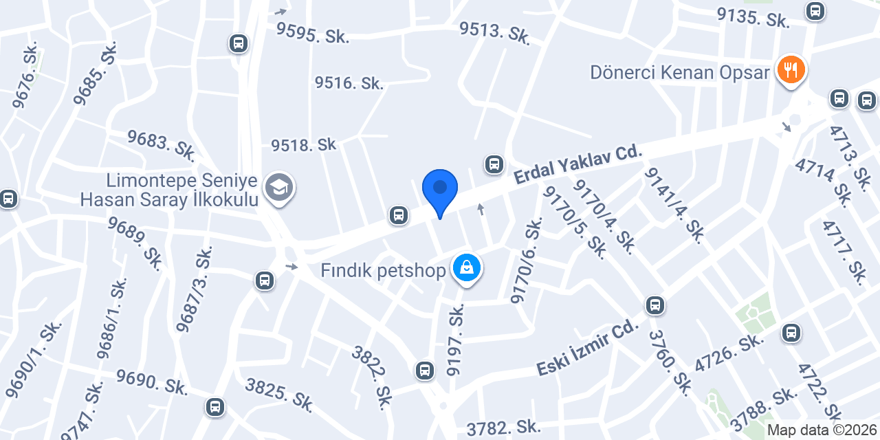 Özel Algoritma Anaokulu konumu