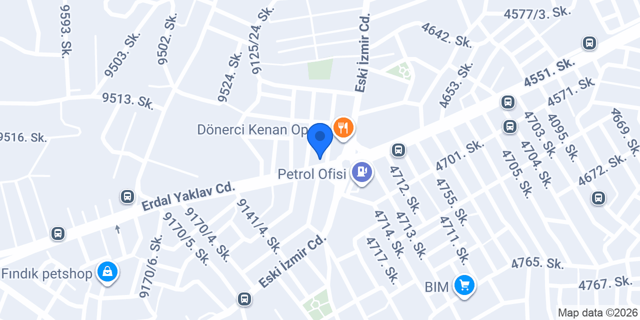 Western union Yeni Çamlık konumu