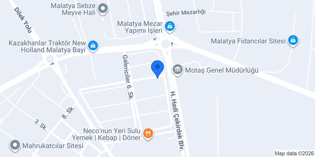 Leon auto konumu