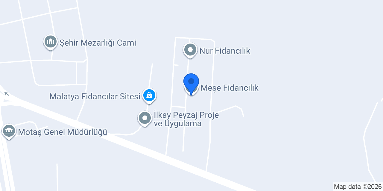 Meşe Fidancılık konumu