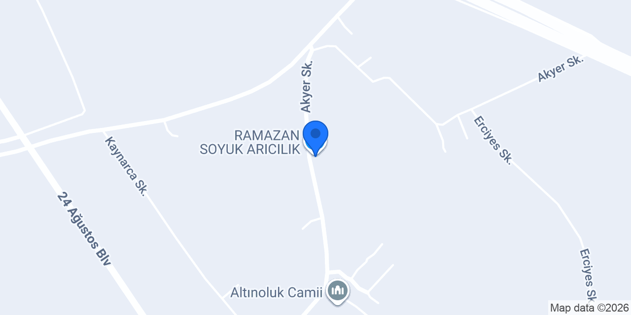 ALİ SOYUK konumu
