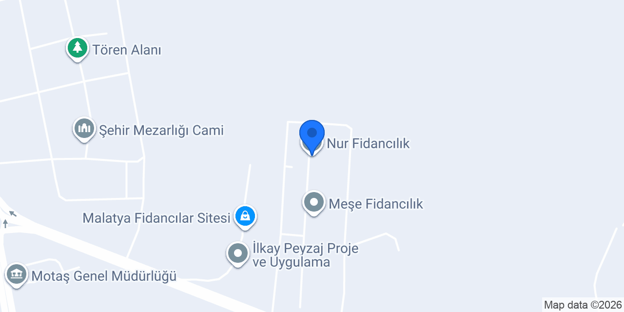 Nur Fidancılık konumu