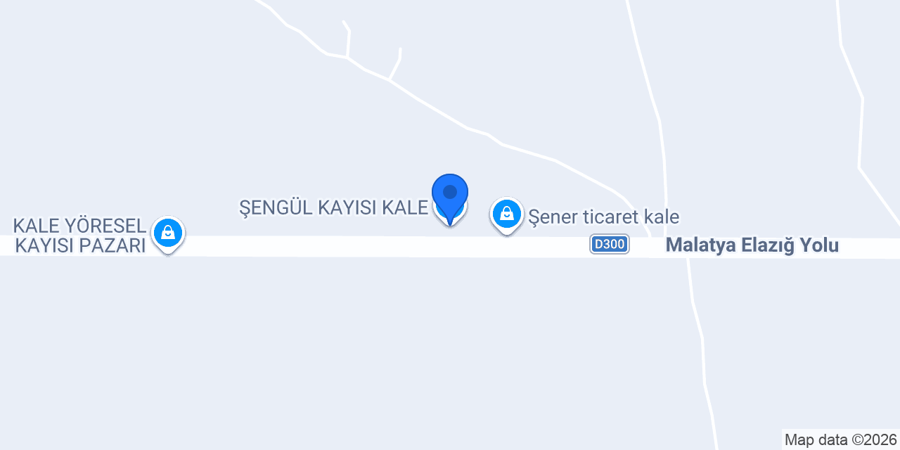 ŞENGÜL KAYISI KALE konumu