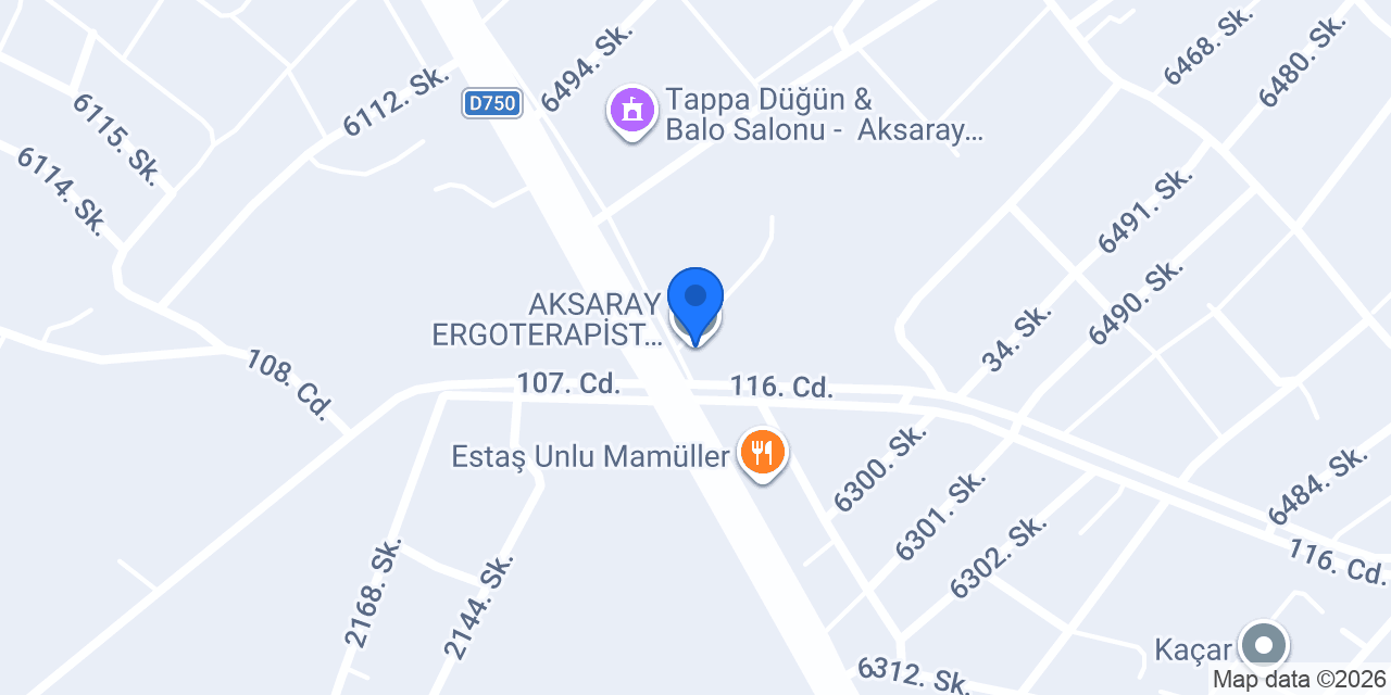AKSARAY ERGOTERAPİST MERVE YEŞİL konumu