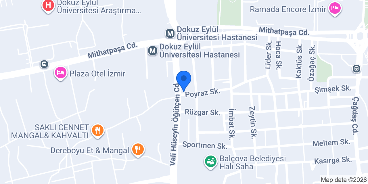 Ali Usta Oltu Kebap konumu
