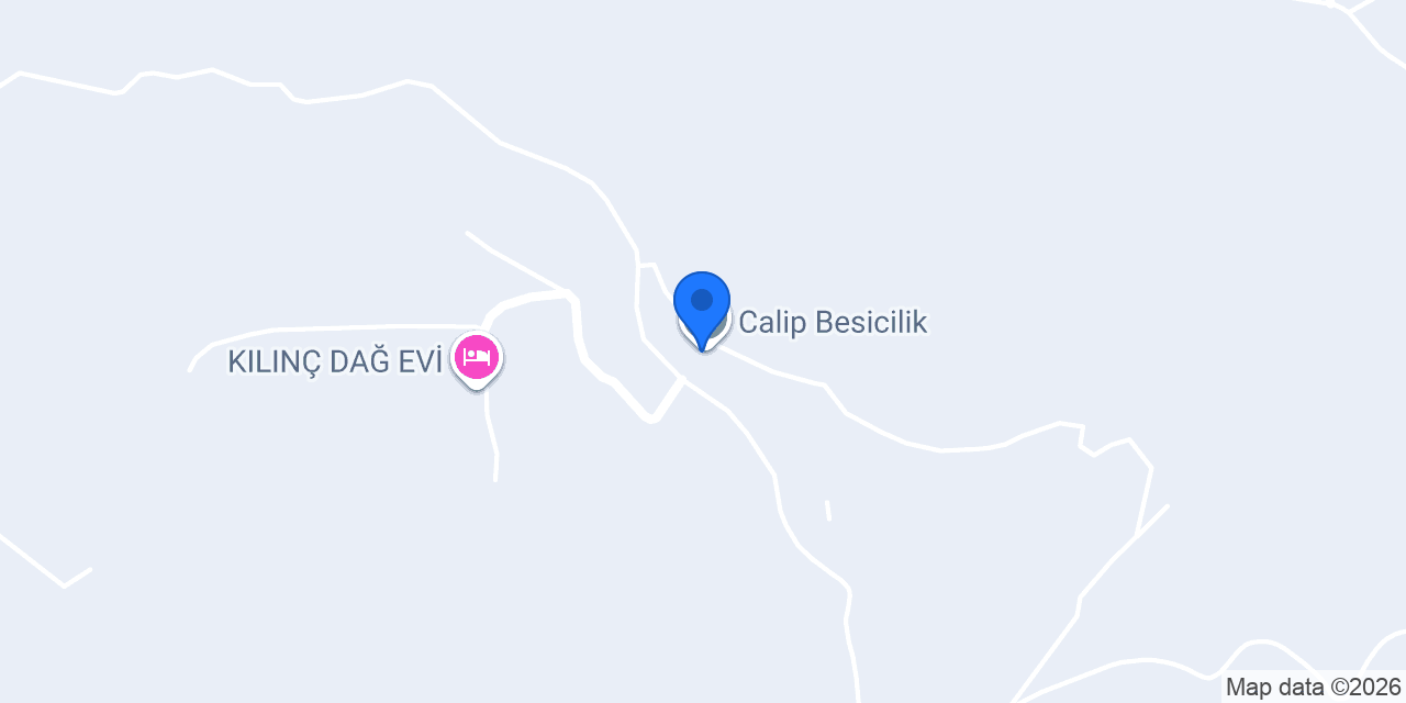 Calip Besicilik konumu