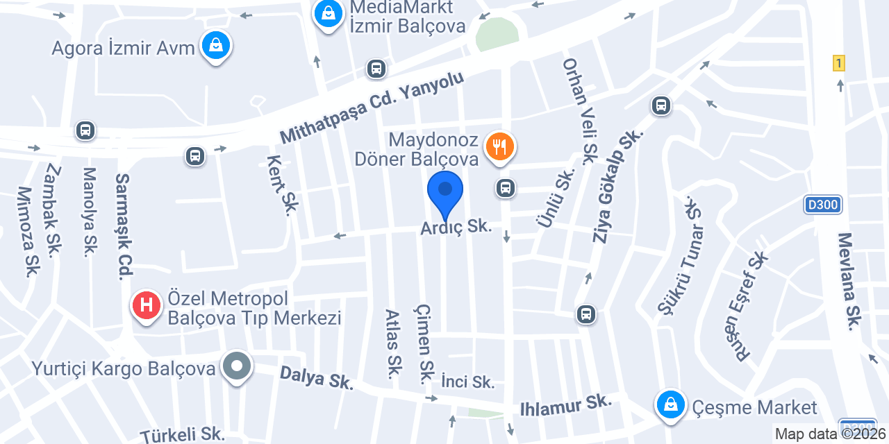 Kurabiye Canavarı Aslı konumu
