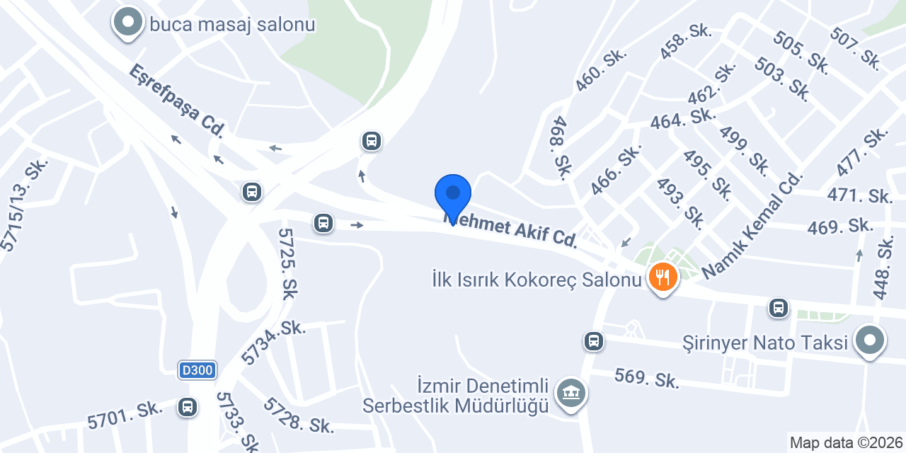 Bay Organizasyon konumu