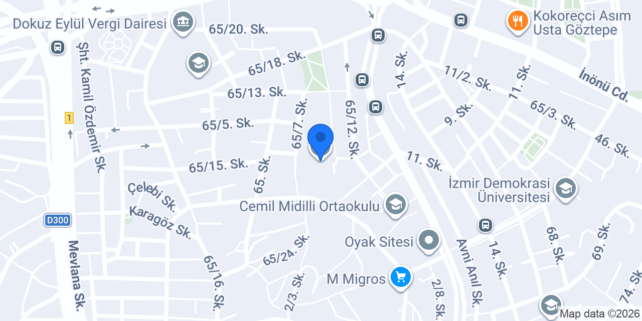 İnönü Anadolu Lisesi konumu