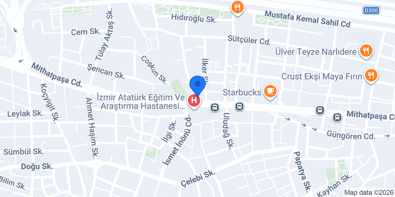 Feyza Ev Yemekleri konumu