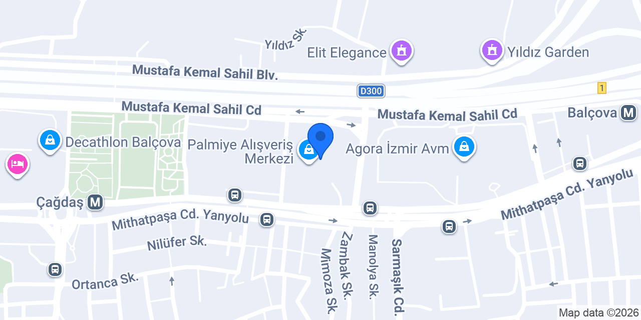 Zendo Akademi konumu