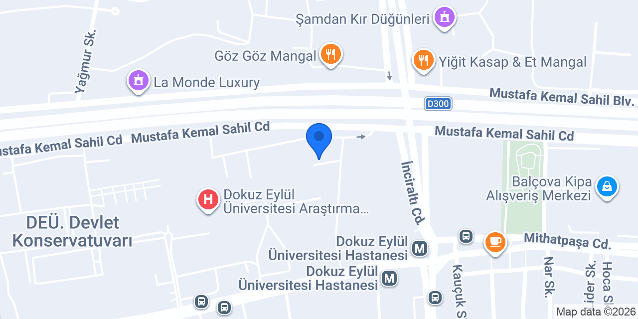 Prof. Dr. Kıvanç Metin konumu
