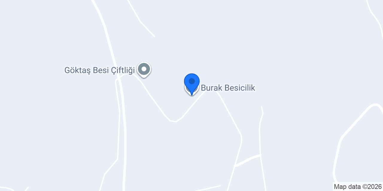 Burak Besicilik konumu