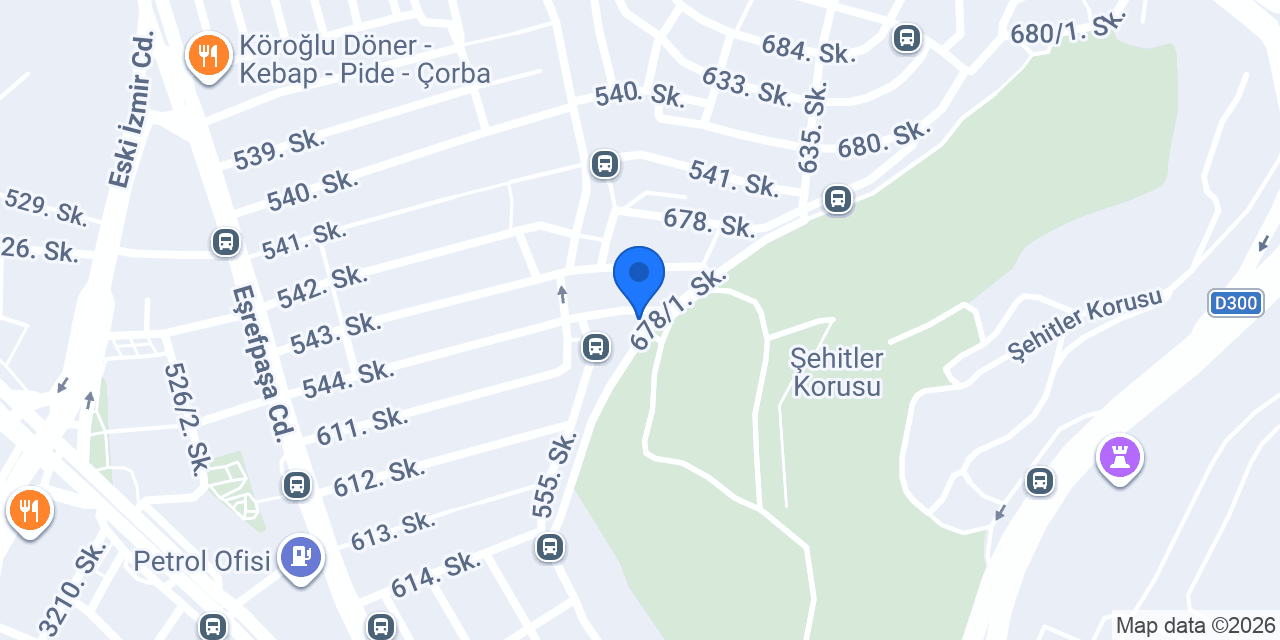 NAİFOĞLU AUTO konumu