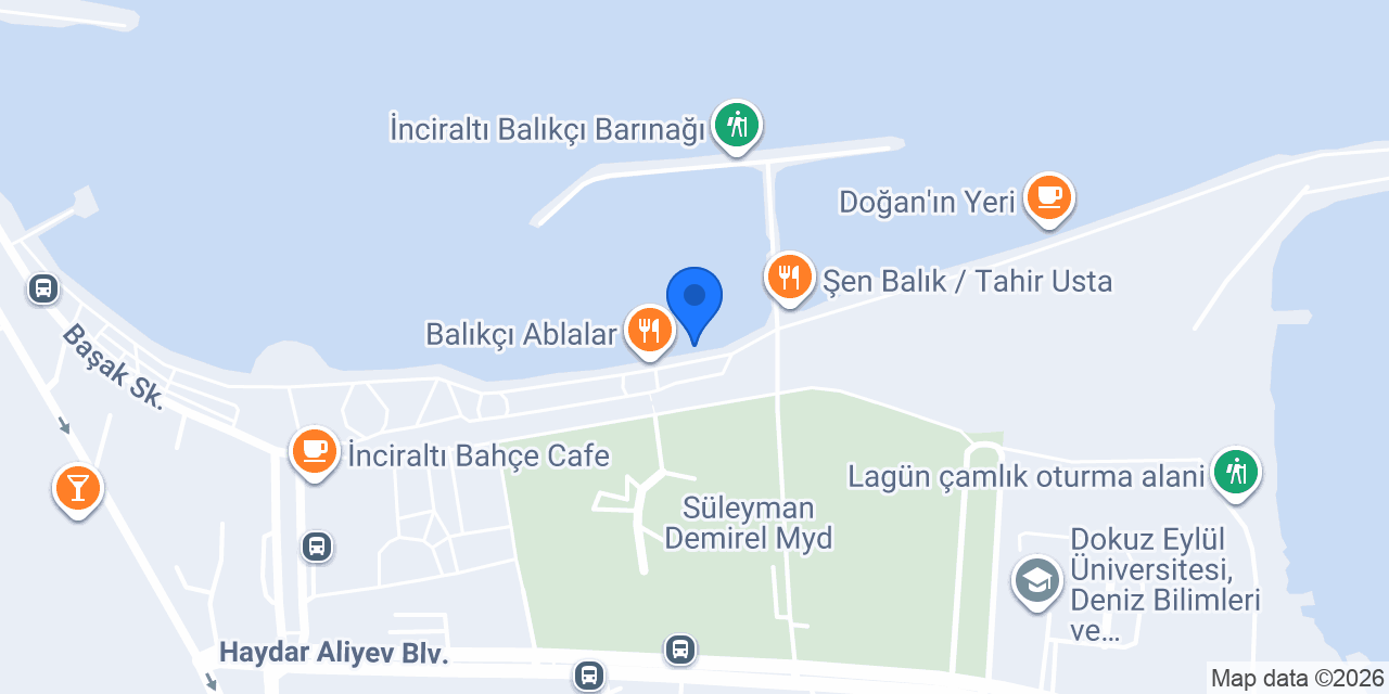 Ayışığı Balık Ekmek konumu