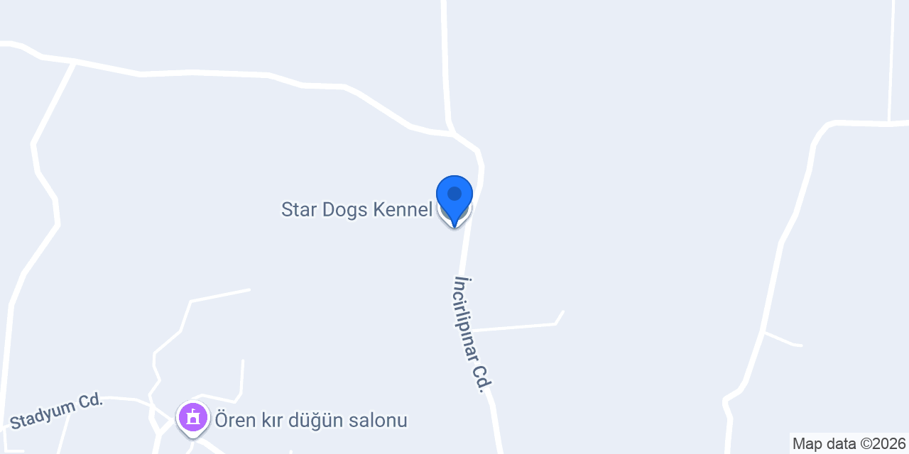 Star Dogs Kennel konumu