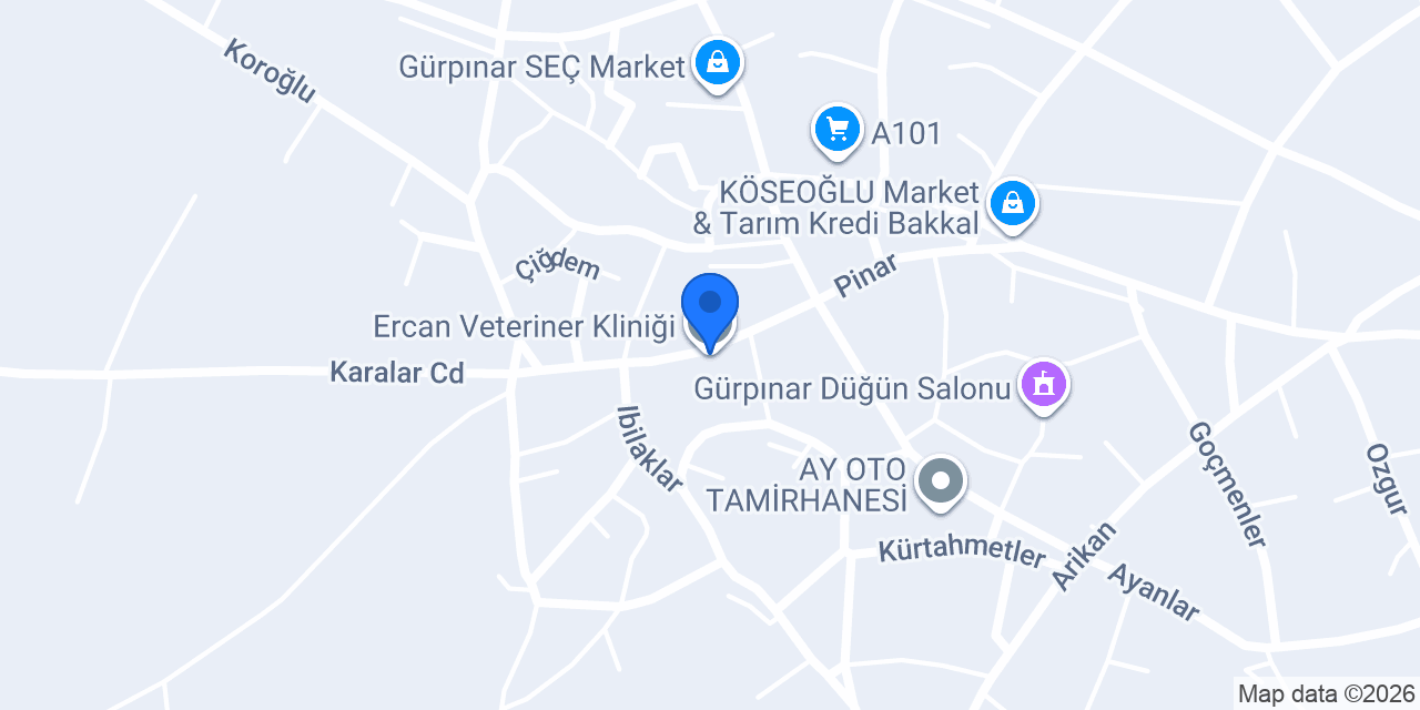 Ercan Veteriner Kliniği konumu