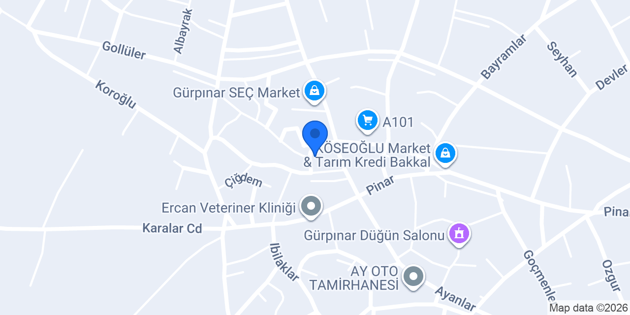 Kaya Oto Elektrik konumu