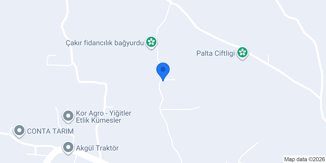 BAY PARS DEVE DAMI konumu
