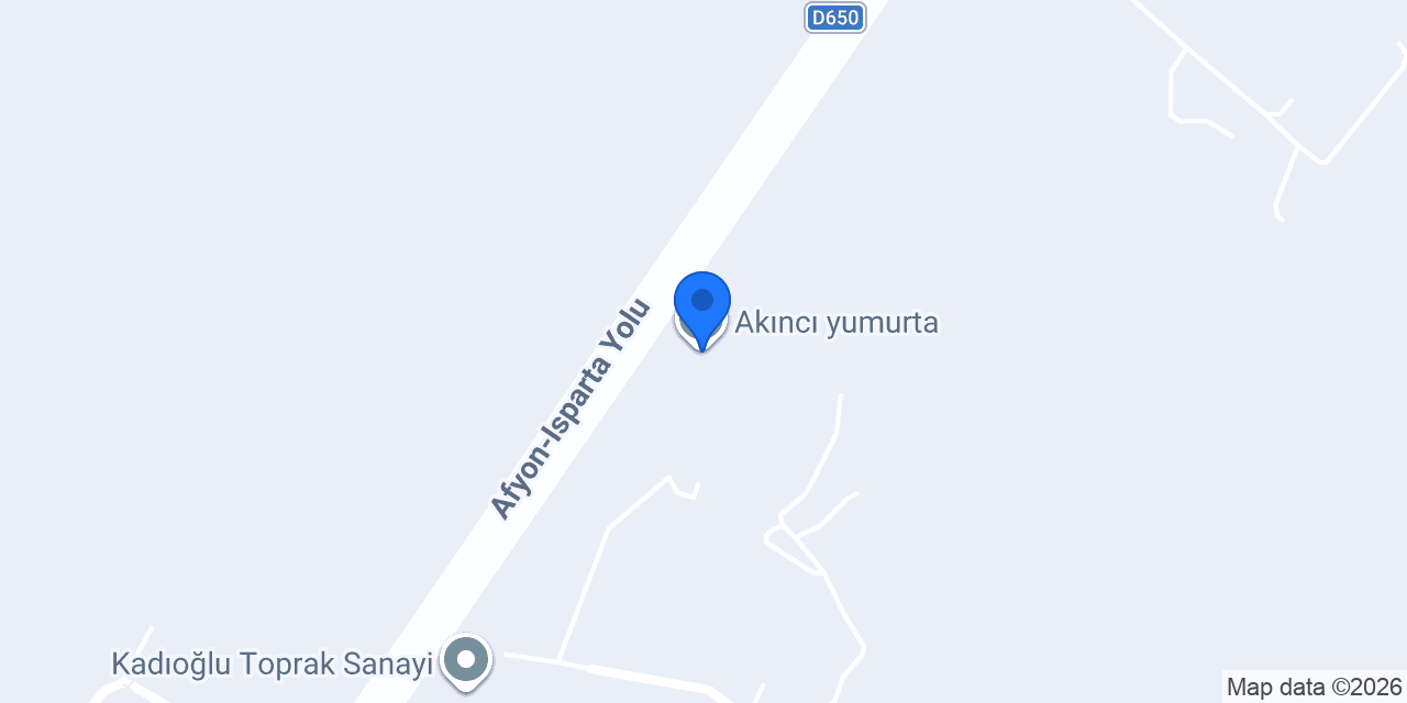 Akıncı yumurta konumu