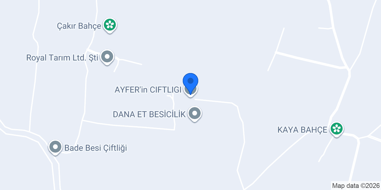 AYFER'in CIFTLIGI konumu