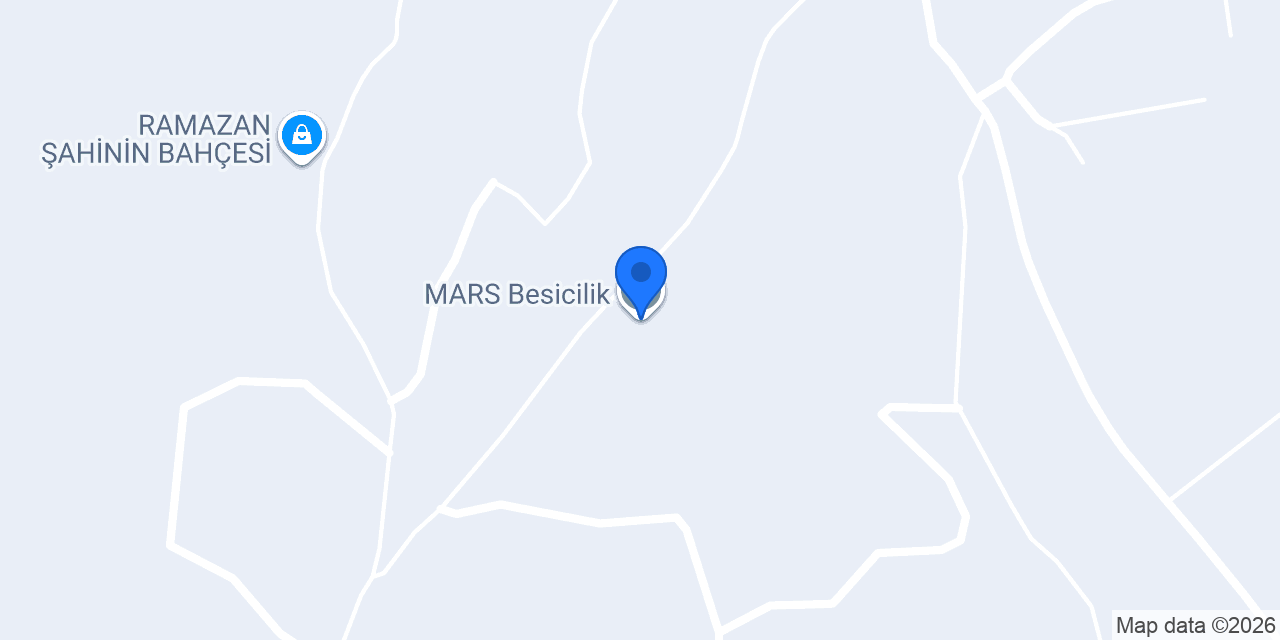 MARS Besicilik konumu