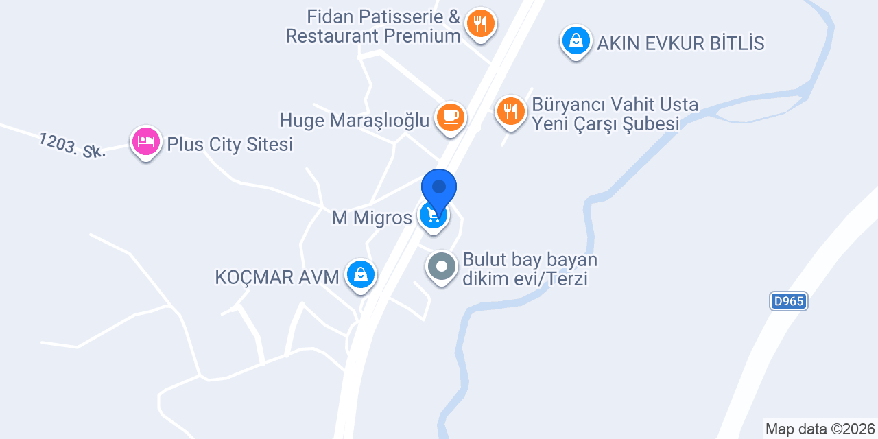 Günsa Bosch Bayii konumu