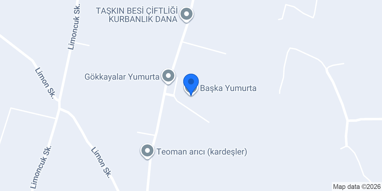 Başka Yumurta konumu