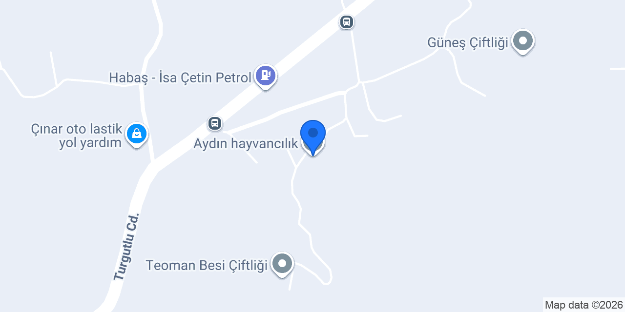 Aydın hayvancılık konumu