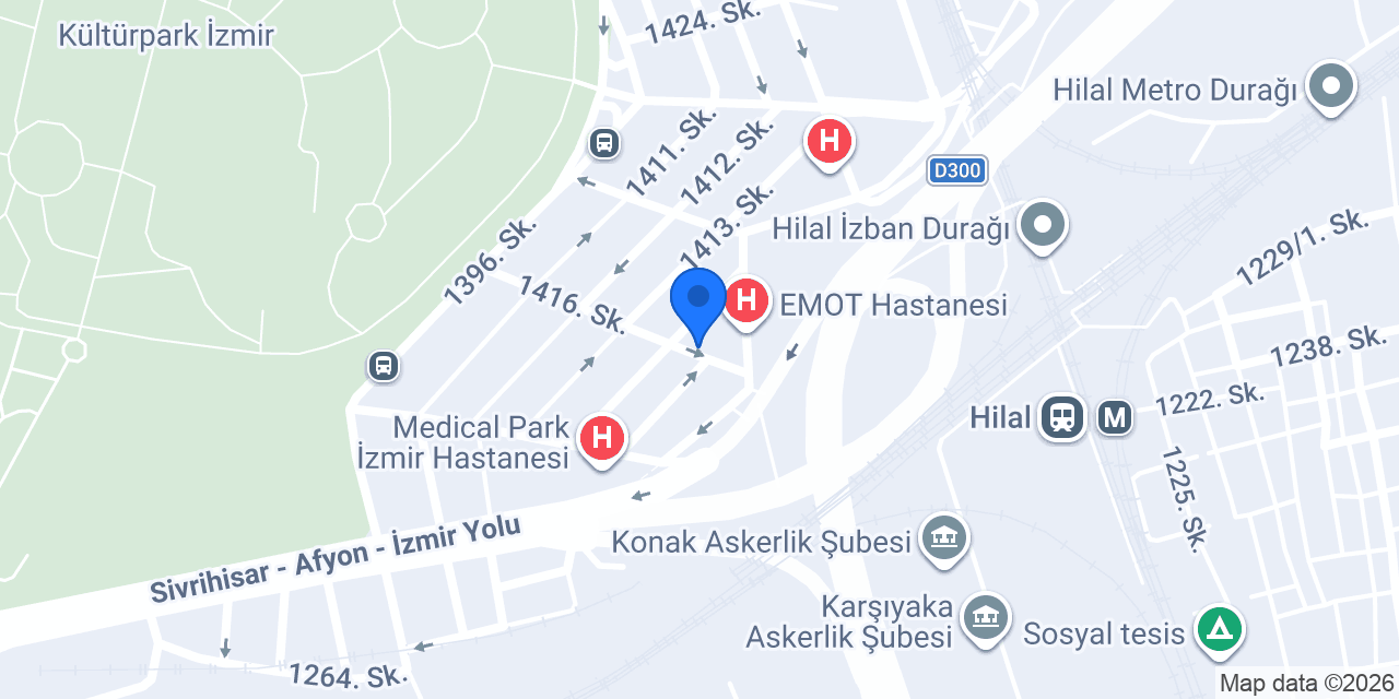 Orkide Güzel konumu