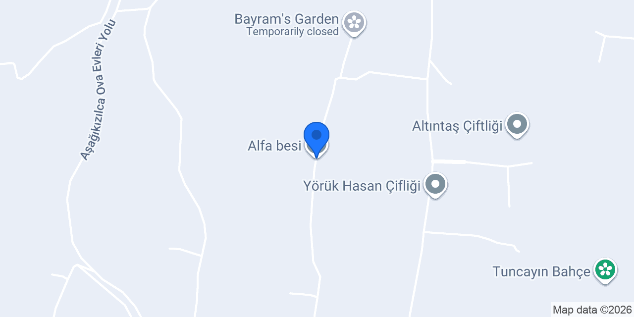 Alfa besi konumu