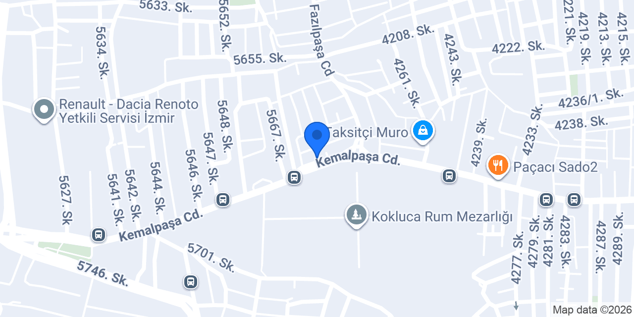 Pintopunto konumu