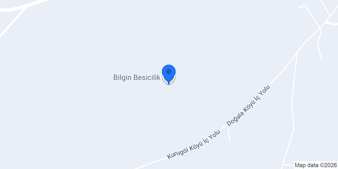 Bilgin Besicilik konumu