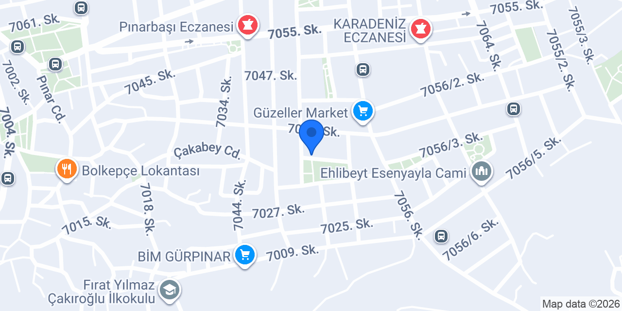 Zengin Auto konumu