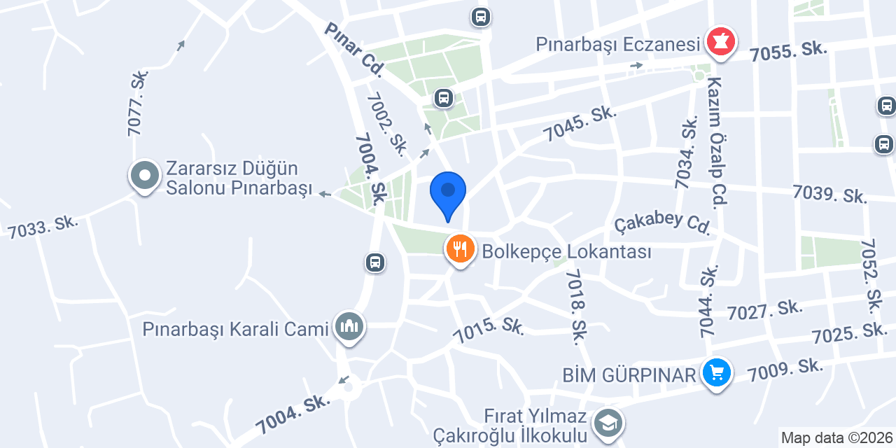 Pasaport Pizza Pınarbaşı konumu