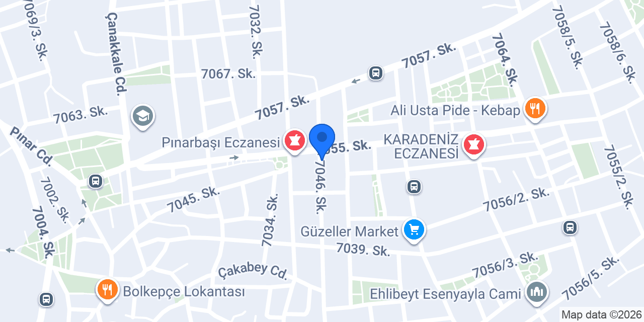 Direksiyon eğitmeni konumu