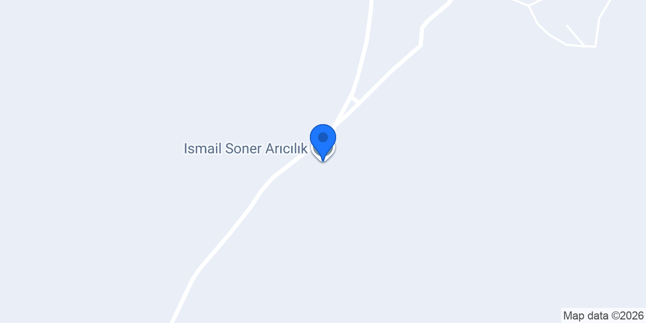 Ismail Soner Arıcılık konumu