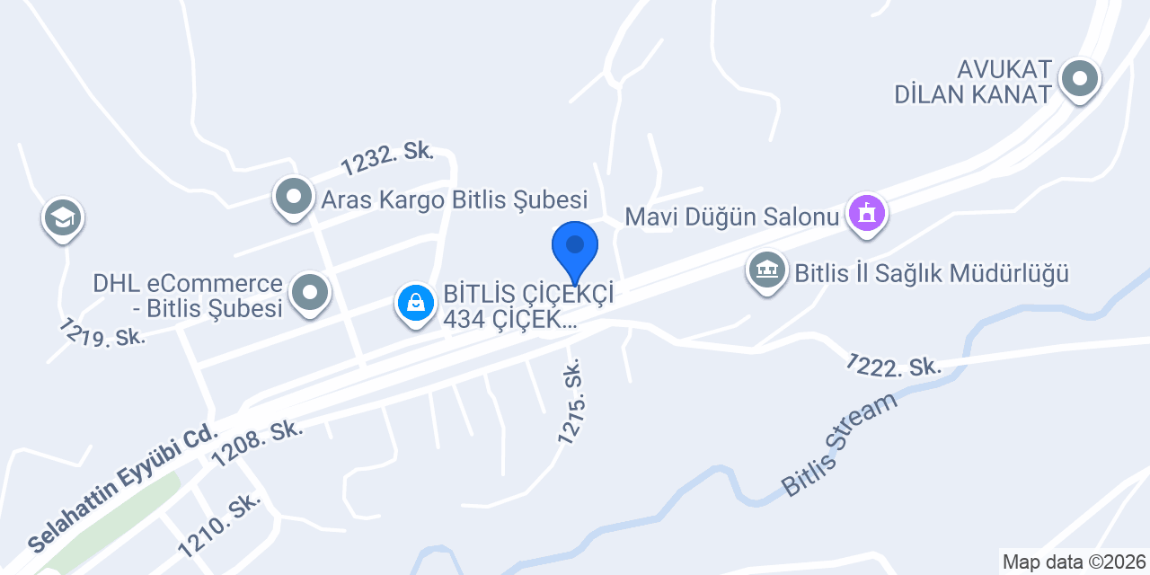 Bur King Pizza konumu