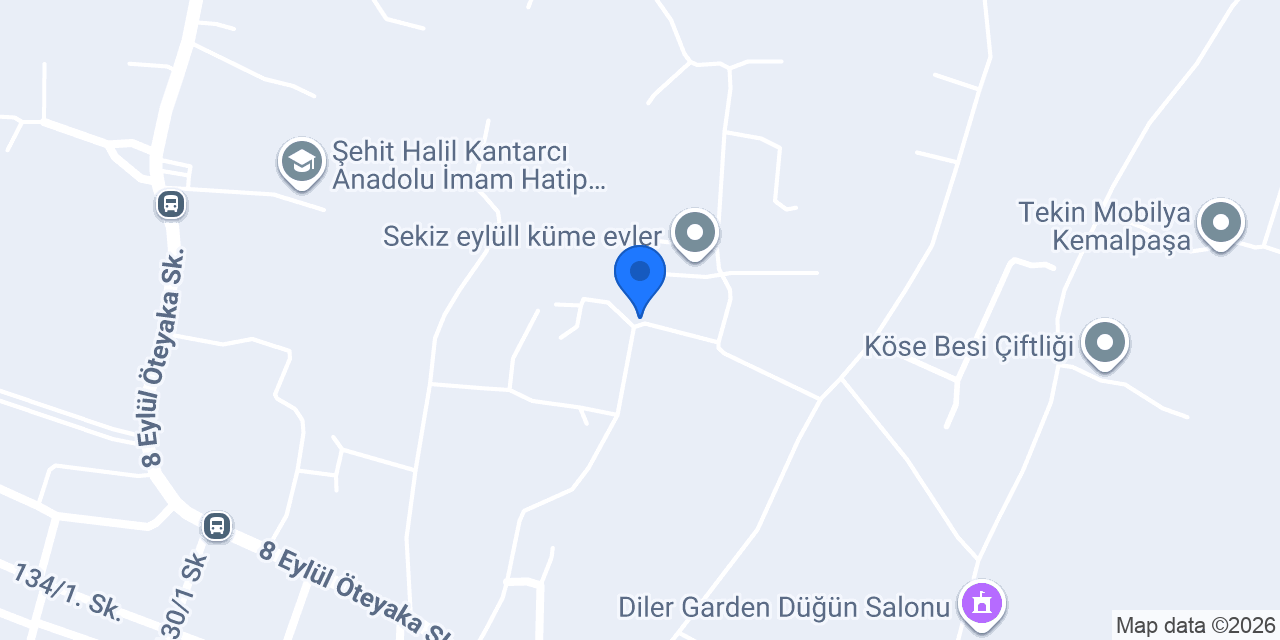 Şen palet konumu