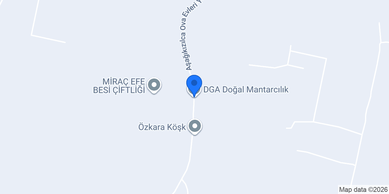 DGA Doğal Mantarcılık konumu