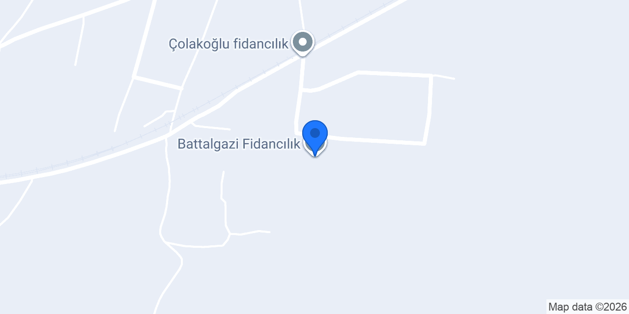 Battalgazi Fidancılık konumu