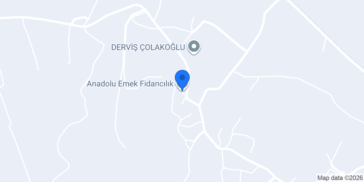 Anadolu Emek Fidancılık konumu