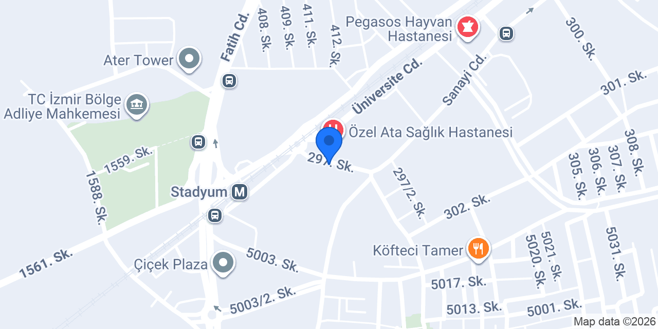 Tokat Tadım Döner Bornova konumu