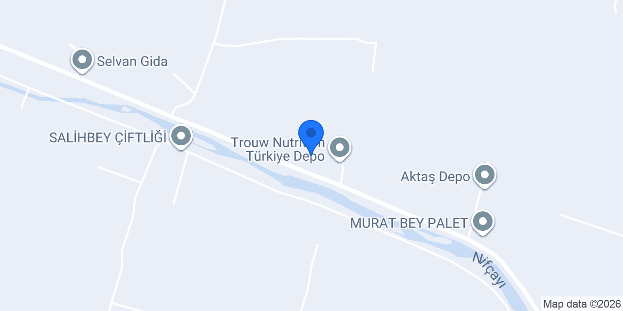 Maier Türkiye konumu