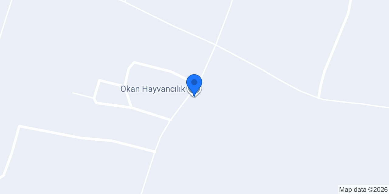 Okan Hayvancılık konumu