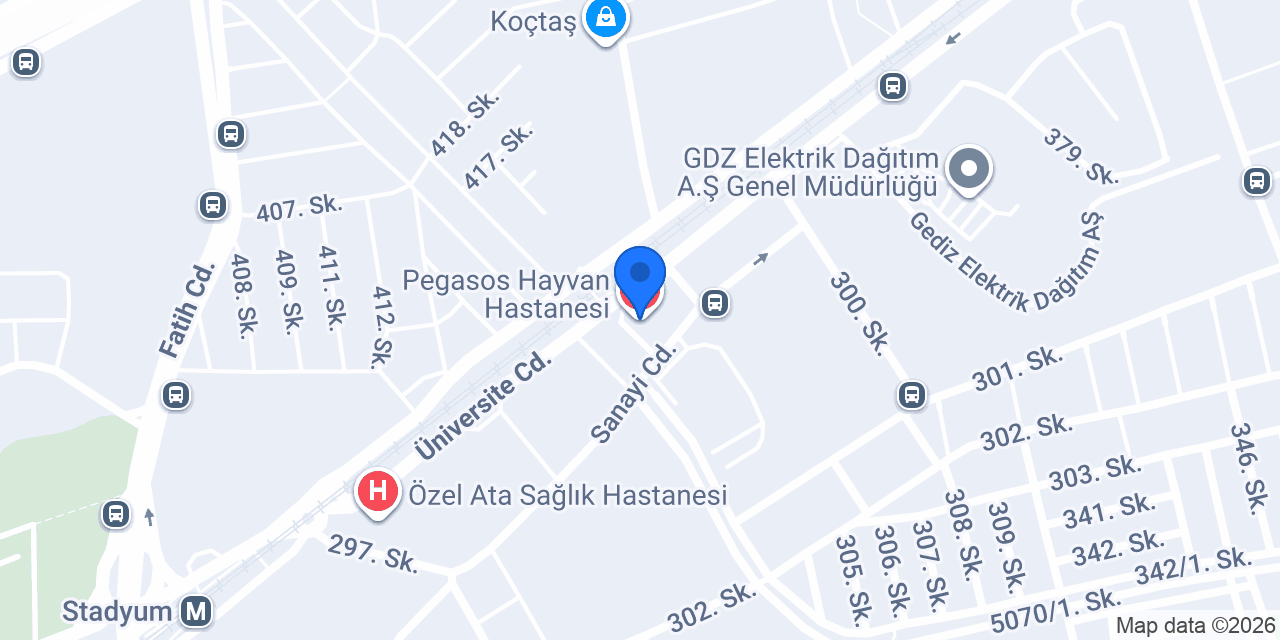 Pegasos Hayvan Hastanesi konumu