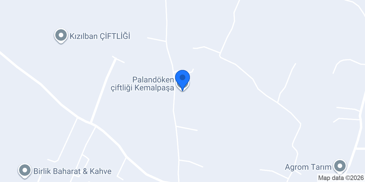 Palandöken çiftliği Kemalpaşa konumu