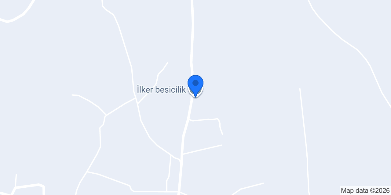 İlker besicilik konumu