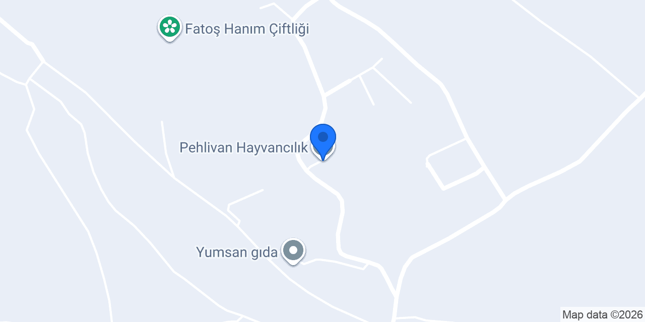 Pehlivan Hayvancılık konumu