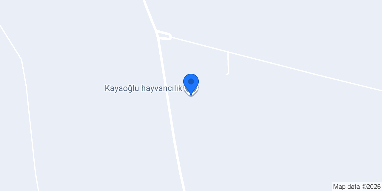 Kayaoğlu hayvancılık konumu